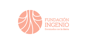 Fundacion Ingenio